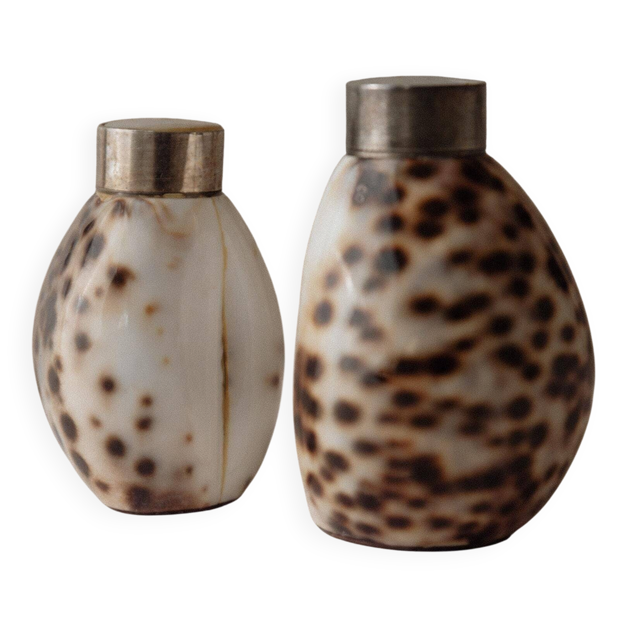 Vintage salt and pepper shaker set from the 1980s, natural shell design.