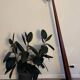 “Epilog” floor lamp designer Tord Bjorklund vintage IKEA 1993