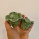 Set of 3 vintage pieces of serving cabbage, salt-pepper, mustard and ravier