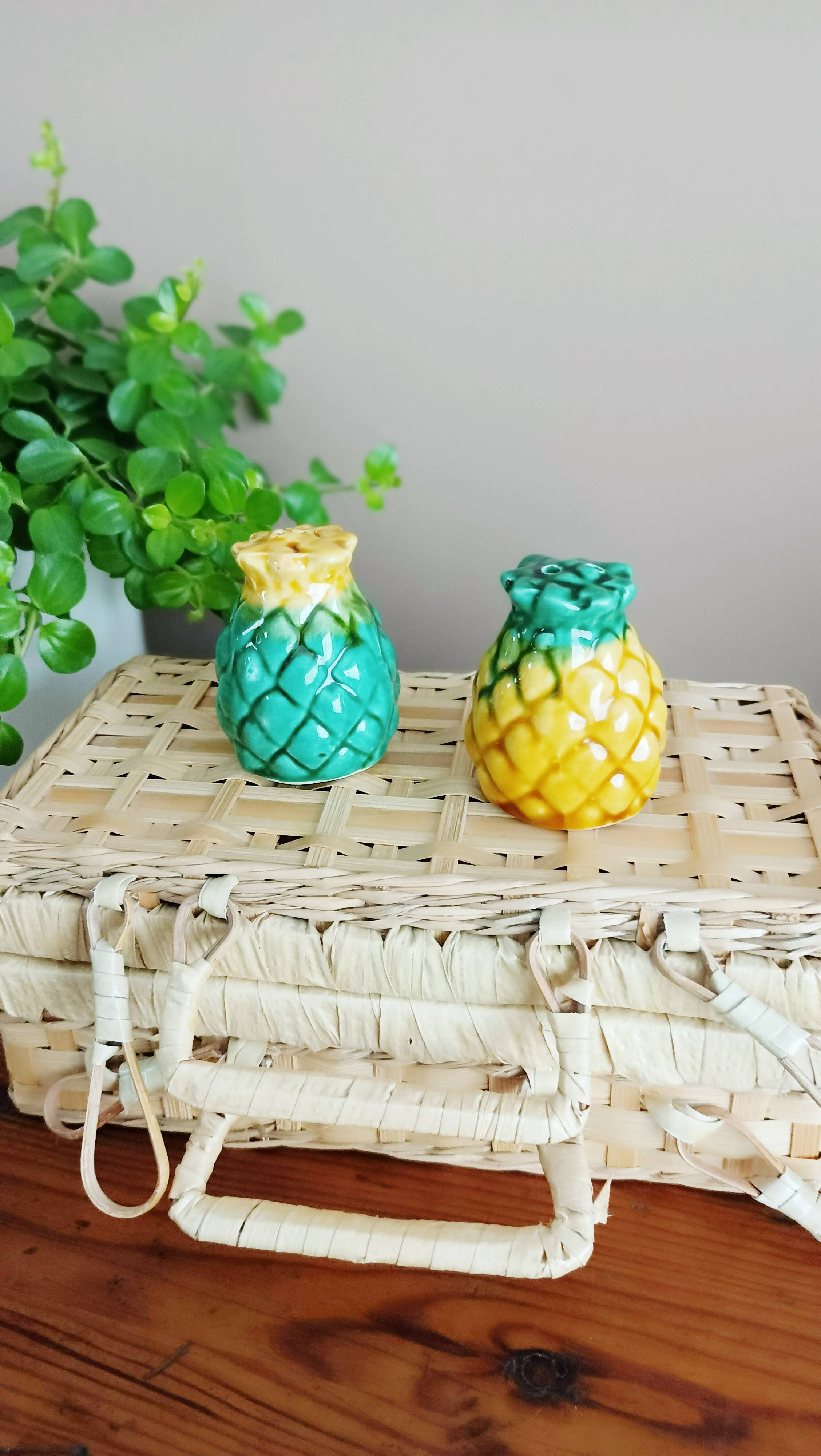 Pineapple salt and pepper shaker duo in slip