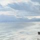 Léon Frédéric (1856-1940) Seascape, Heyst, oil on canvas signed