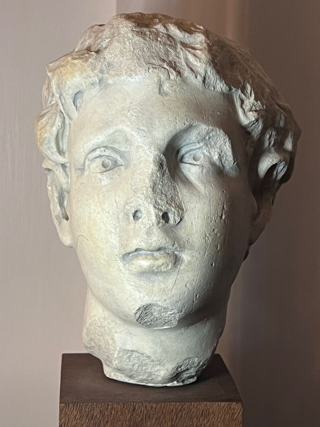 Bust, head of a young man - reproduction from the museum of Sens