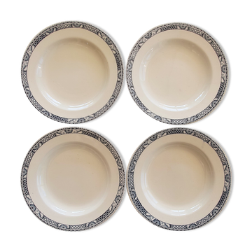 Salins hollow plates