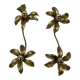 Vintage set of two messing flower wall lamps
