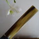 12 old Art Deco horn and stainless steel knives in case