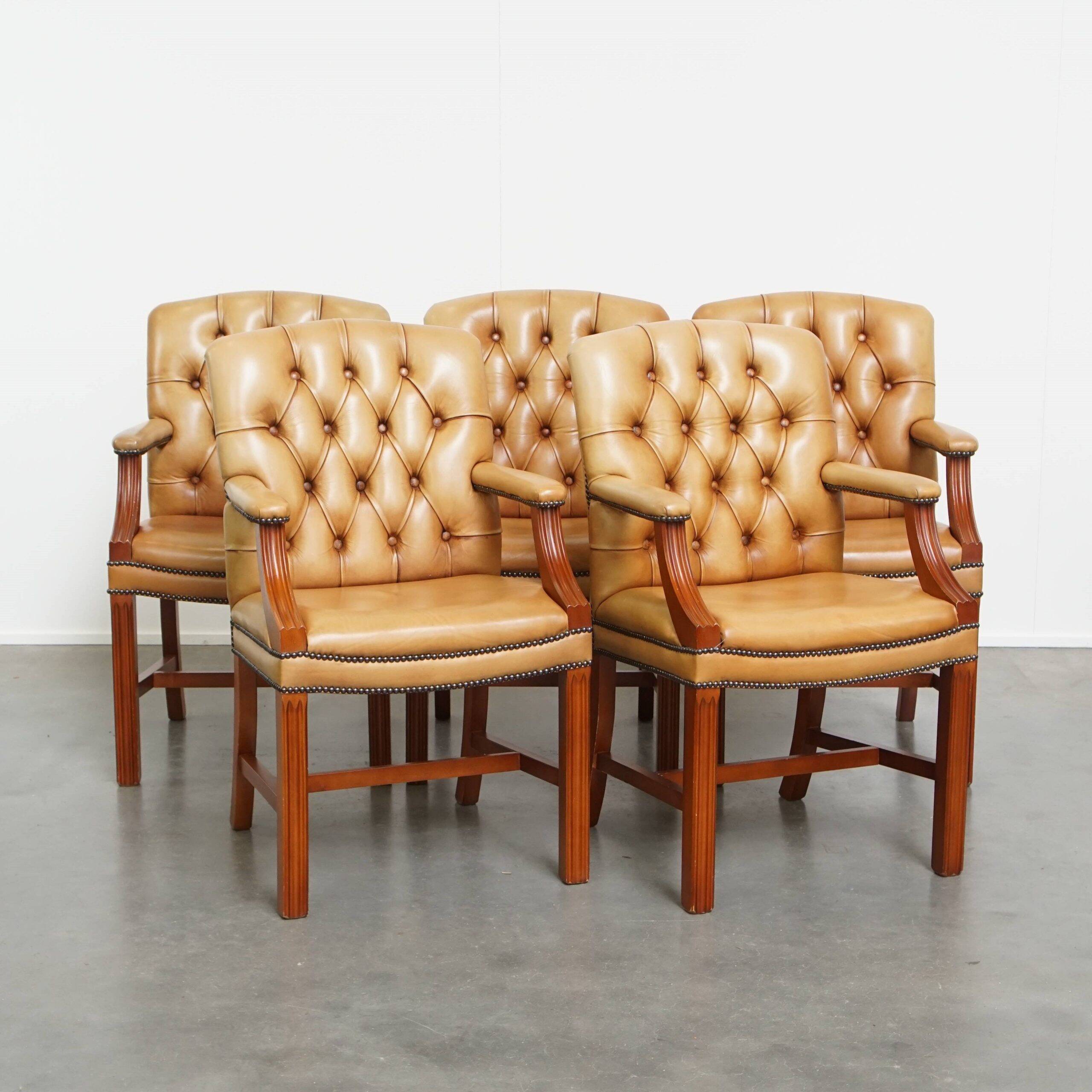 Set of 5 beautiful and luxurious cowhide Chesterfield dining/conference chairs in a light cognac colour