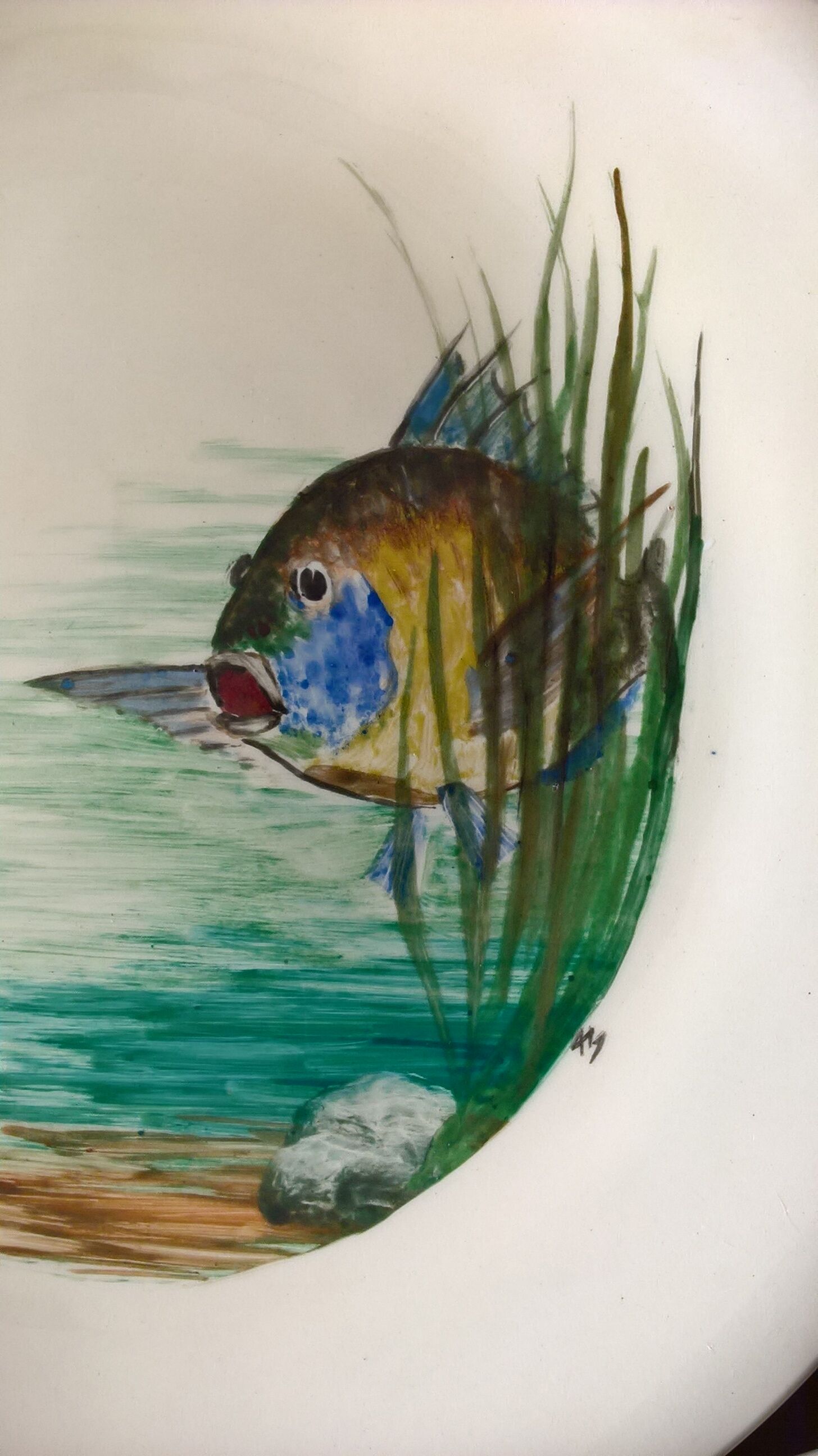 12 fish plates Proceram Cerel Aubagne, 1950s