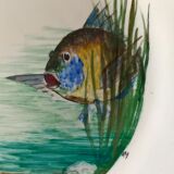 12 fish plates Proceram Cerel Aubagne, 1950s