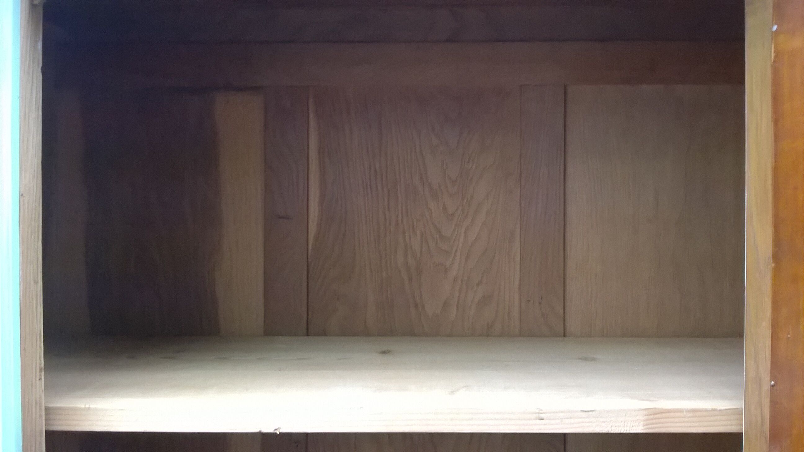 Mint parisian cabinet