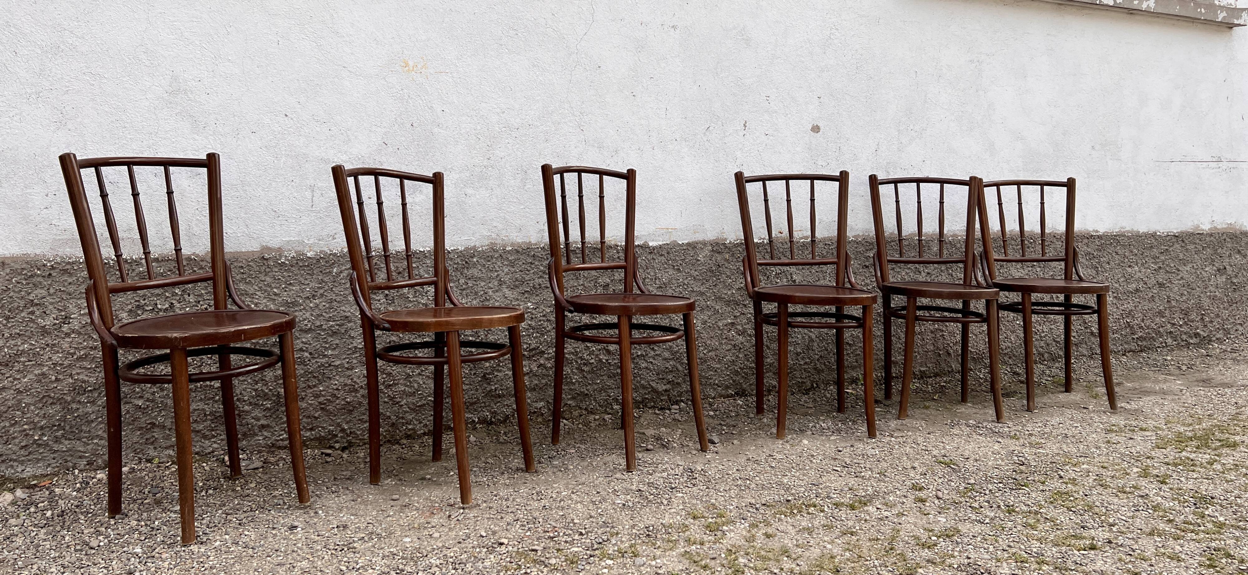 Series of 6 parisian bistro chairs 1950