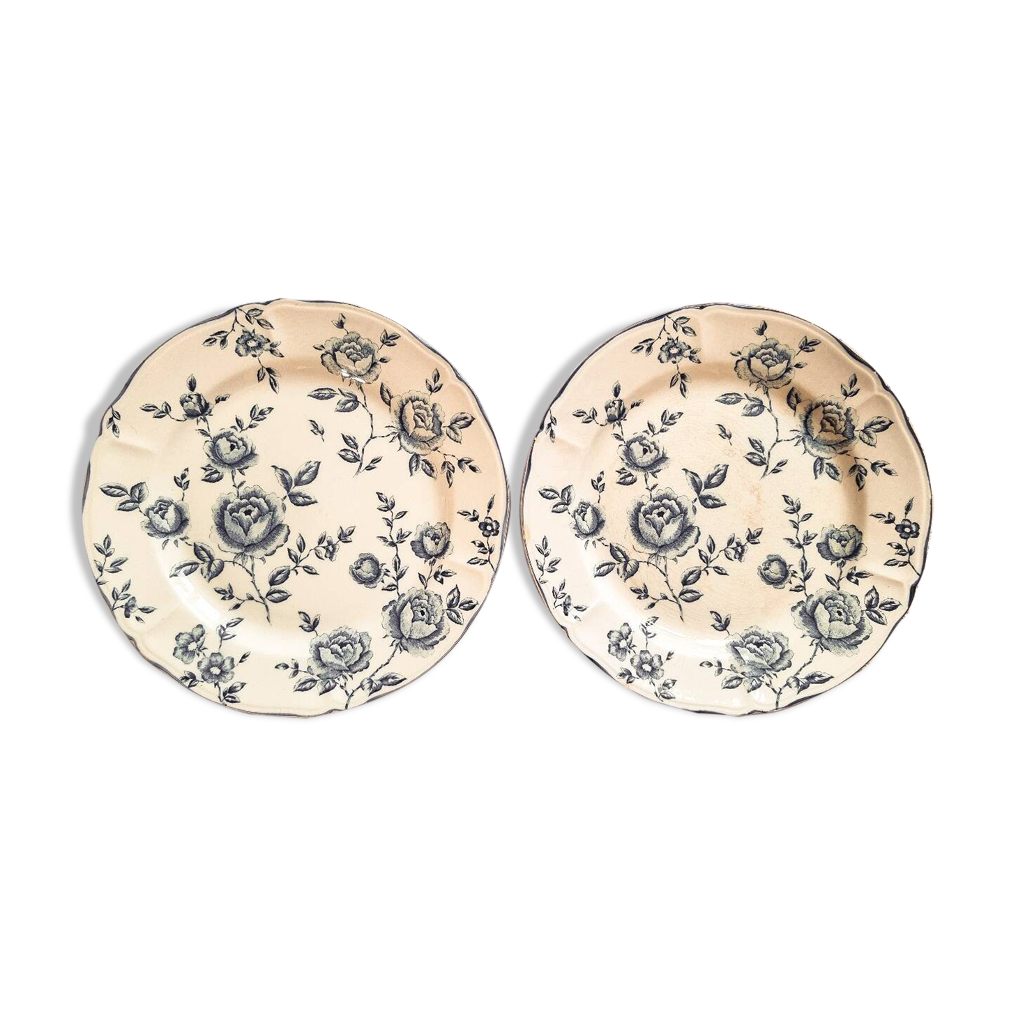 Pair of flat earthenware plates