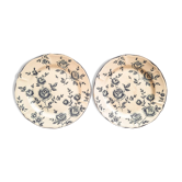 Duo d'assiettes plates en faïence