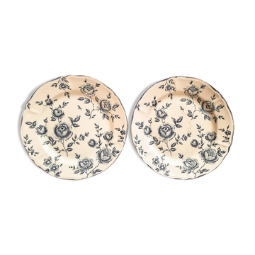Pair of flat earthenware plates