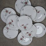 Set of 11 flat plates KG Lunéville Service Fleurs des Indes