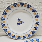 Pair of indigo and saffron flat plates