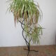 door plants / black wrought iron flowers