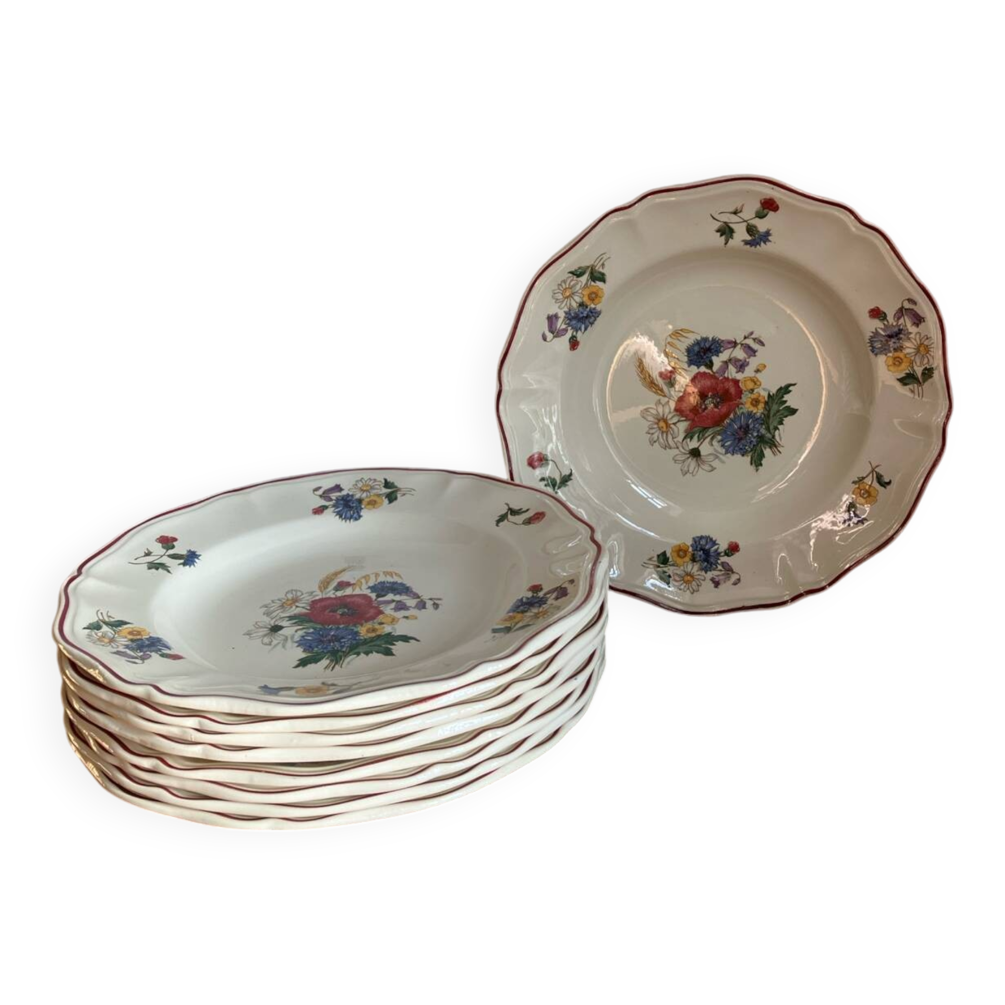 9 Sarreguemines soup plates