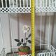 Open metal shelf