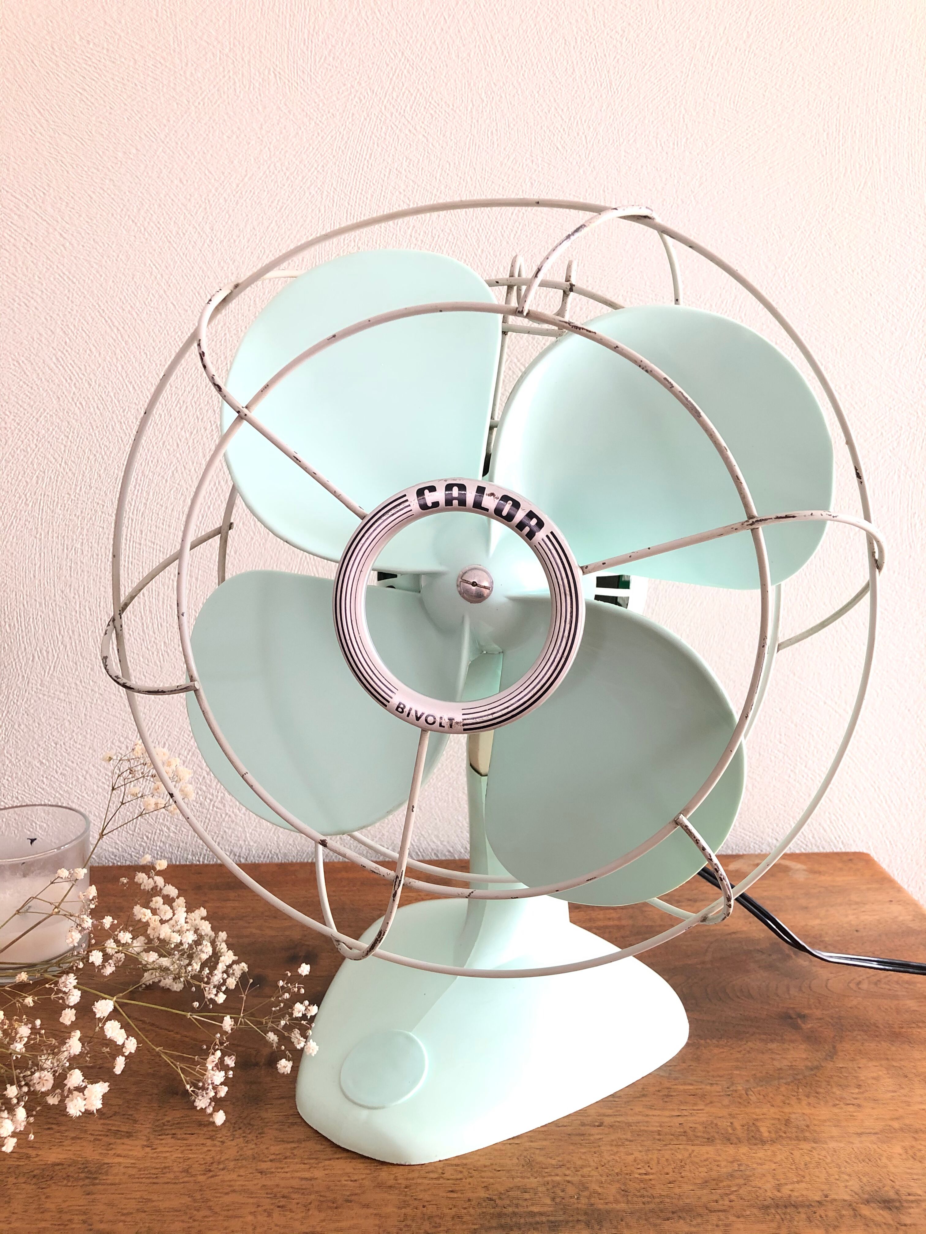 Calor Minth Vintage Fan