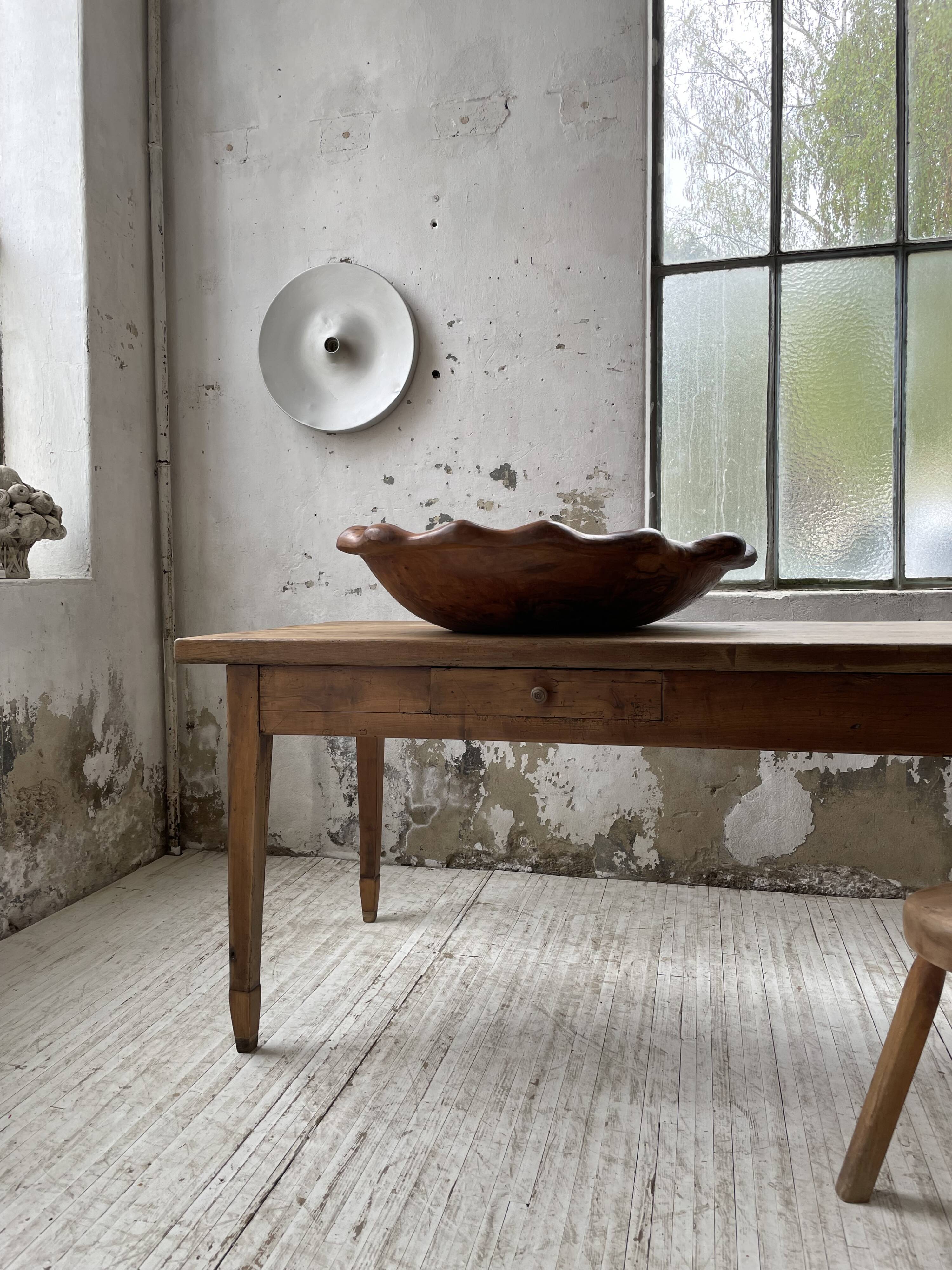 XL thuja root wooden dish