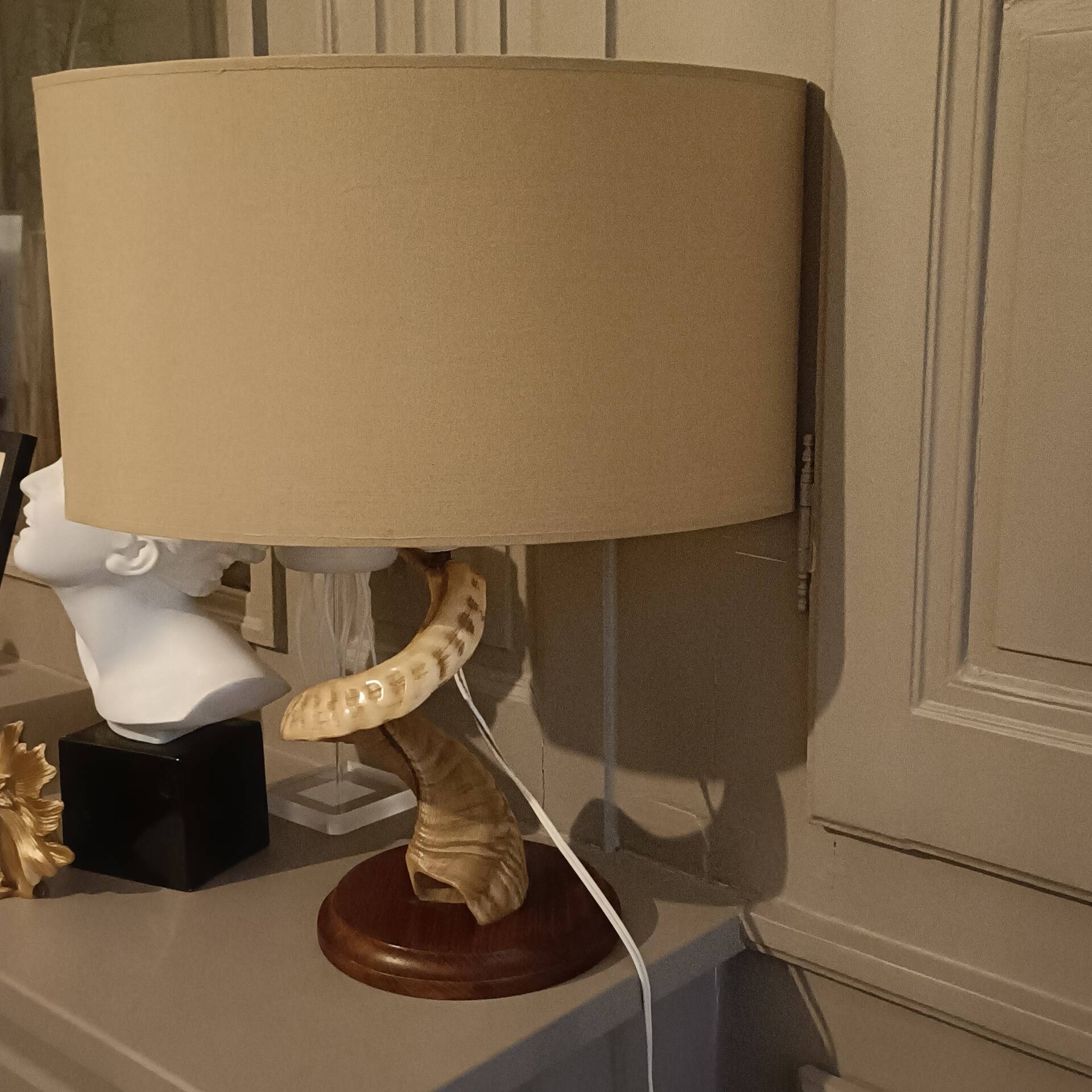 Vintage ram's horn living room lamp