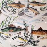 Fish plates Gien