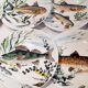 Lot de 8 assiettes poisson Gien