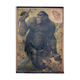 Poster "Gorilla" educational grid 1891