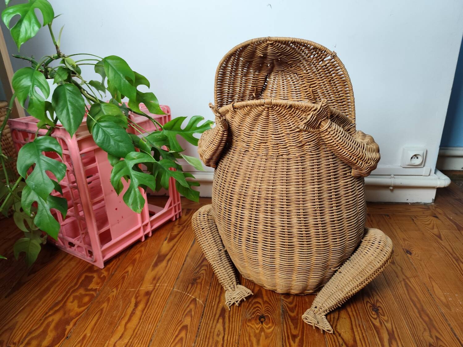 Frog magazine rack by Olivier Cajan 1960-1970
