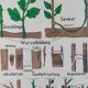 Vintage educational wall hanging roll chart biology plants