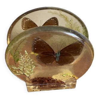 Napkin or mail holder in resin with butterfly decor