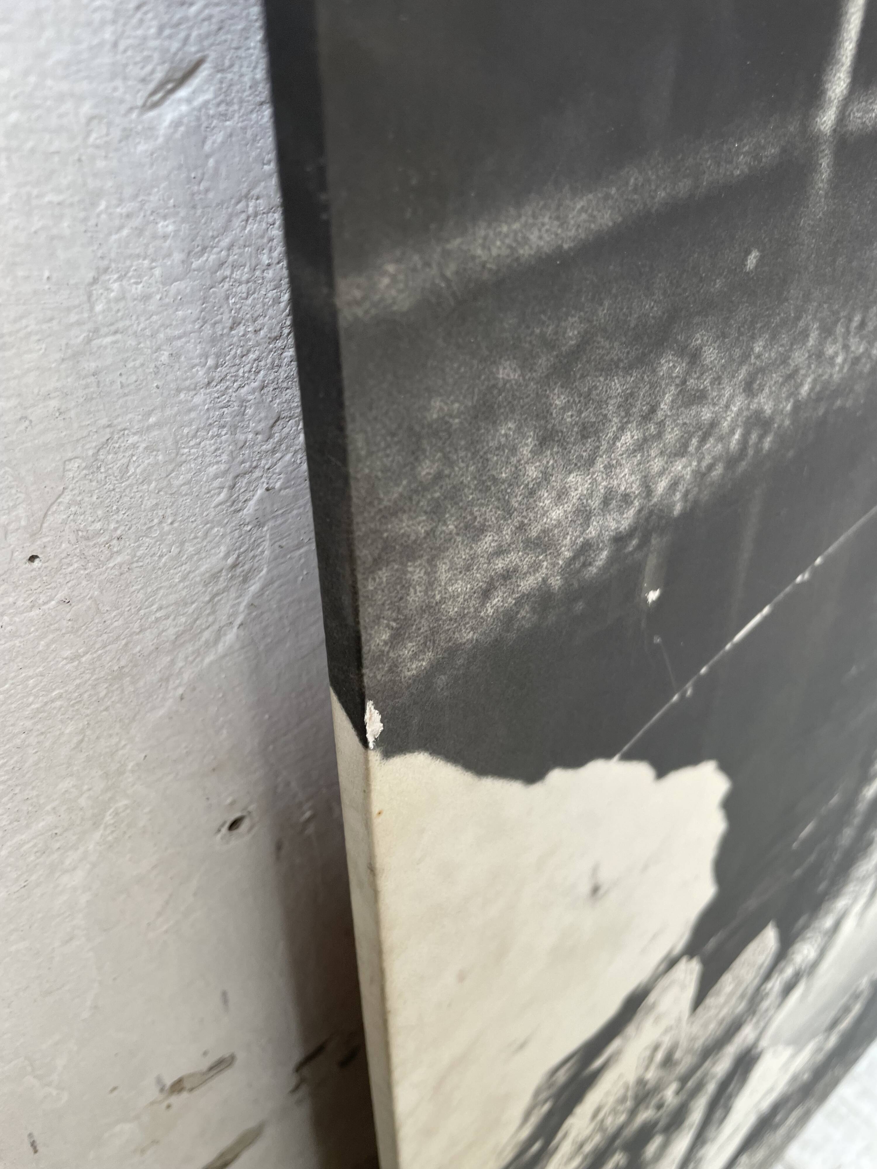 Old XXL black and white tree photograph