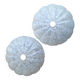 Lot de 2 globes en verre moucheté art déco