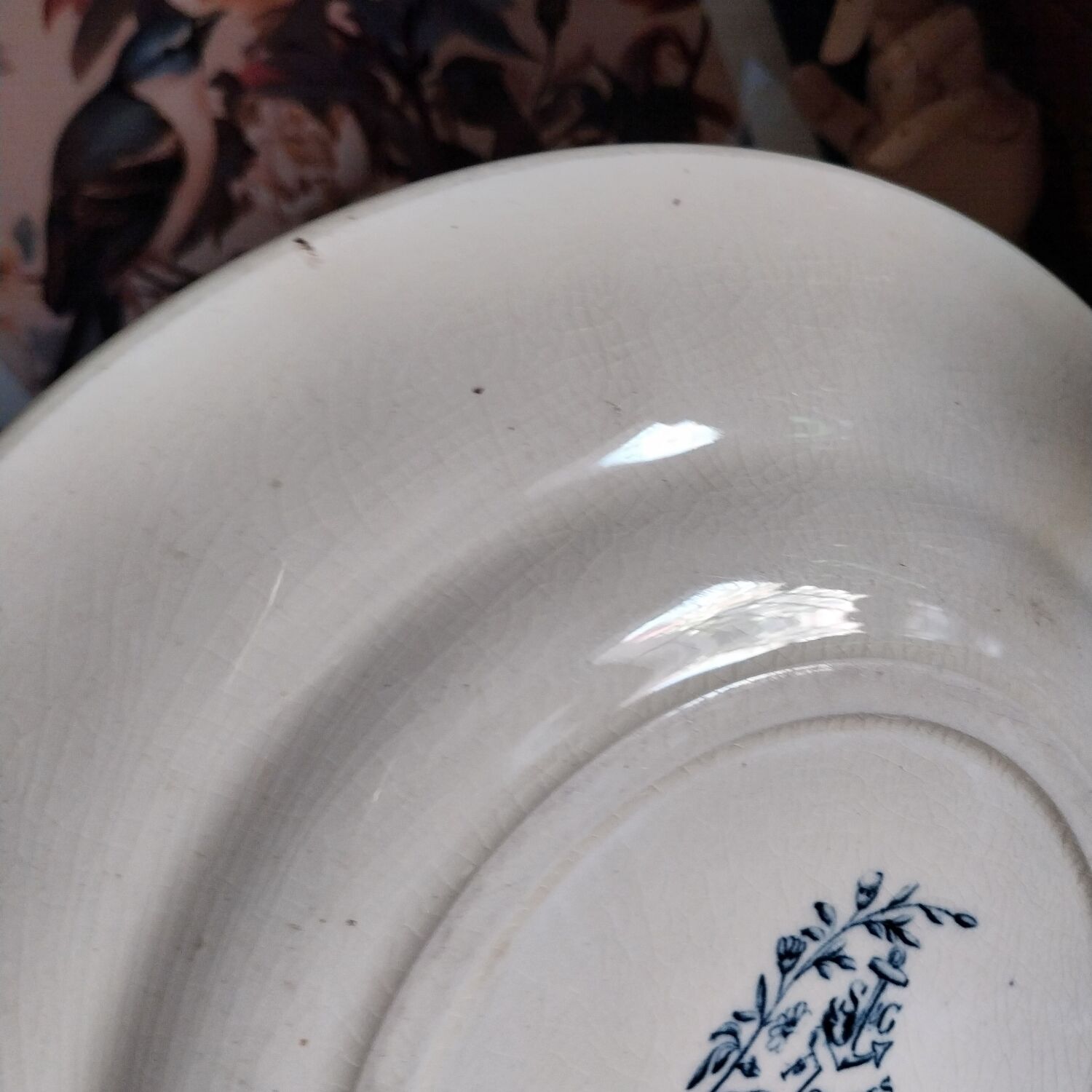 Old flat plate ironstone