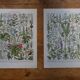 Original lithographs on medicinal plants