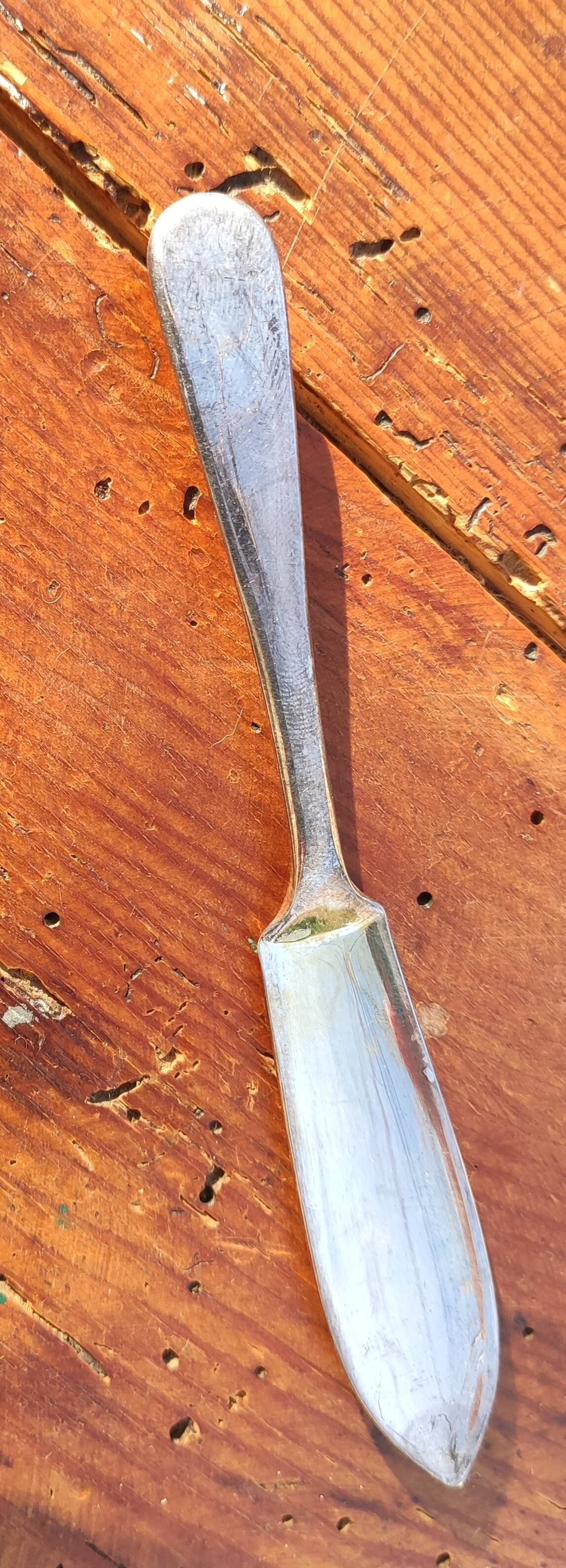 Old shell butter dish