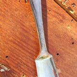 Old shell butter dish