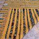 Handmade yellow Berber Kilim rug 226 x 150