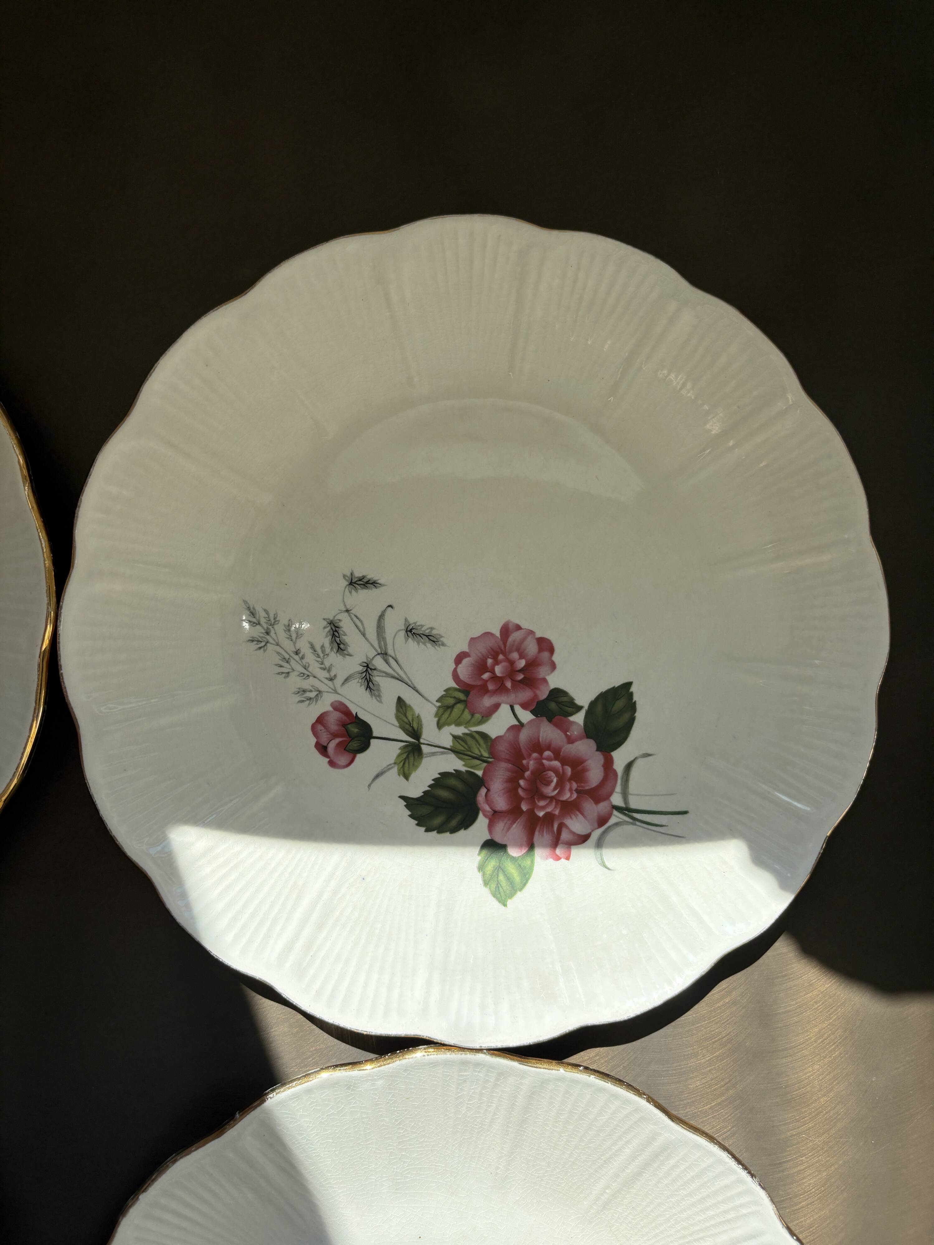 8 Amandinoise dinner plates