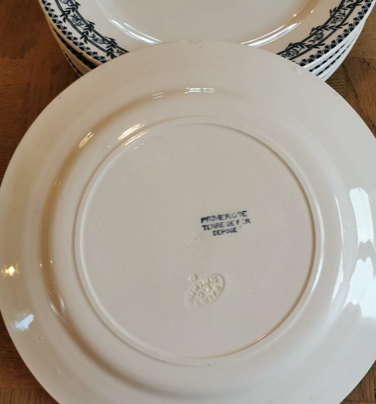 Service of 8 vintage flat plates in Earth of Iron earthenware, Salins factory, Primerose model