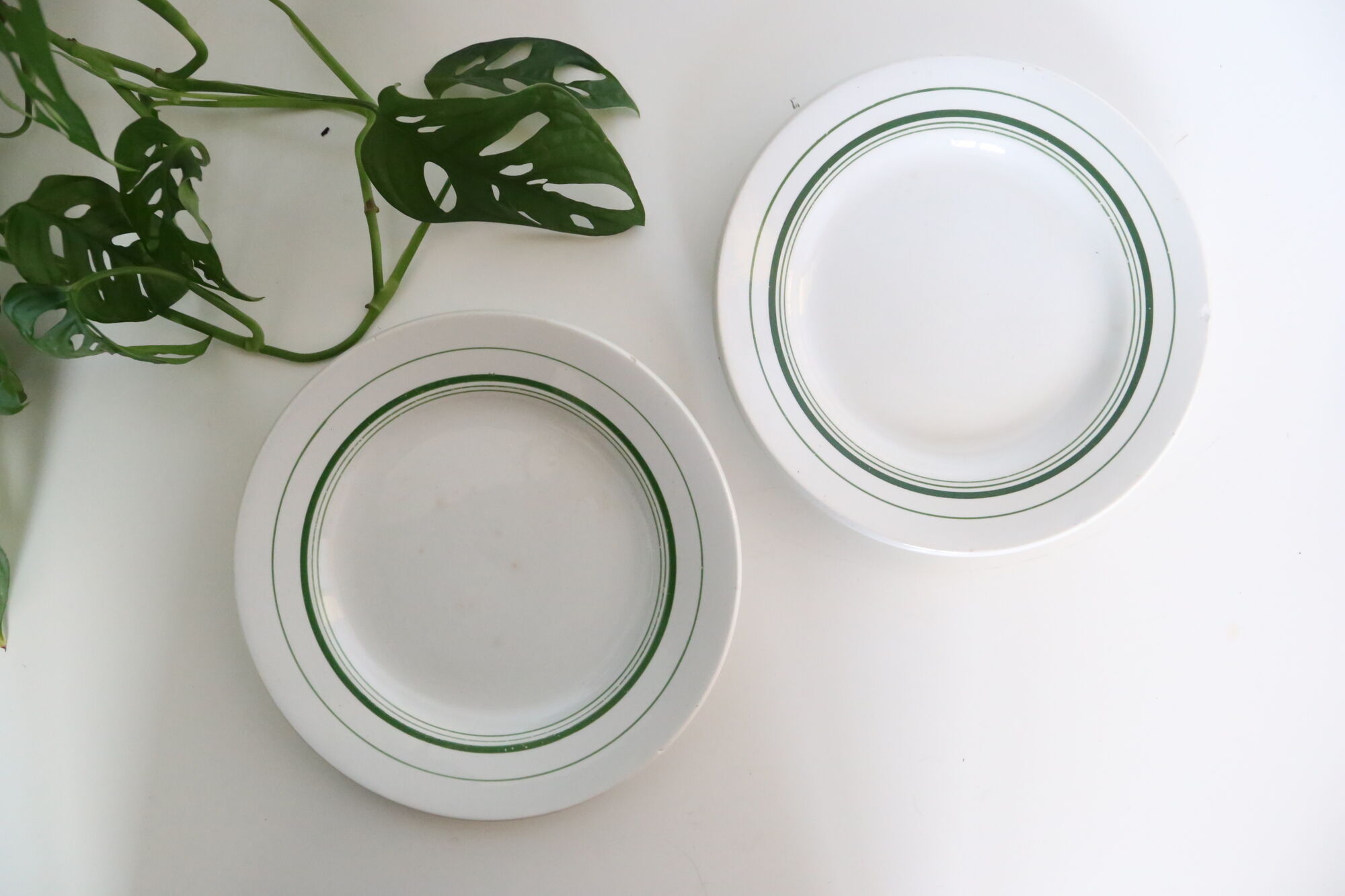 Set of 4 mouin des Loups plate, green motif, French vintage, rustic, countryside