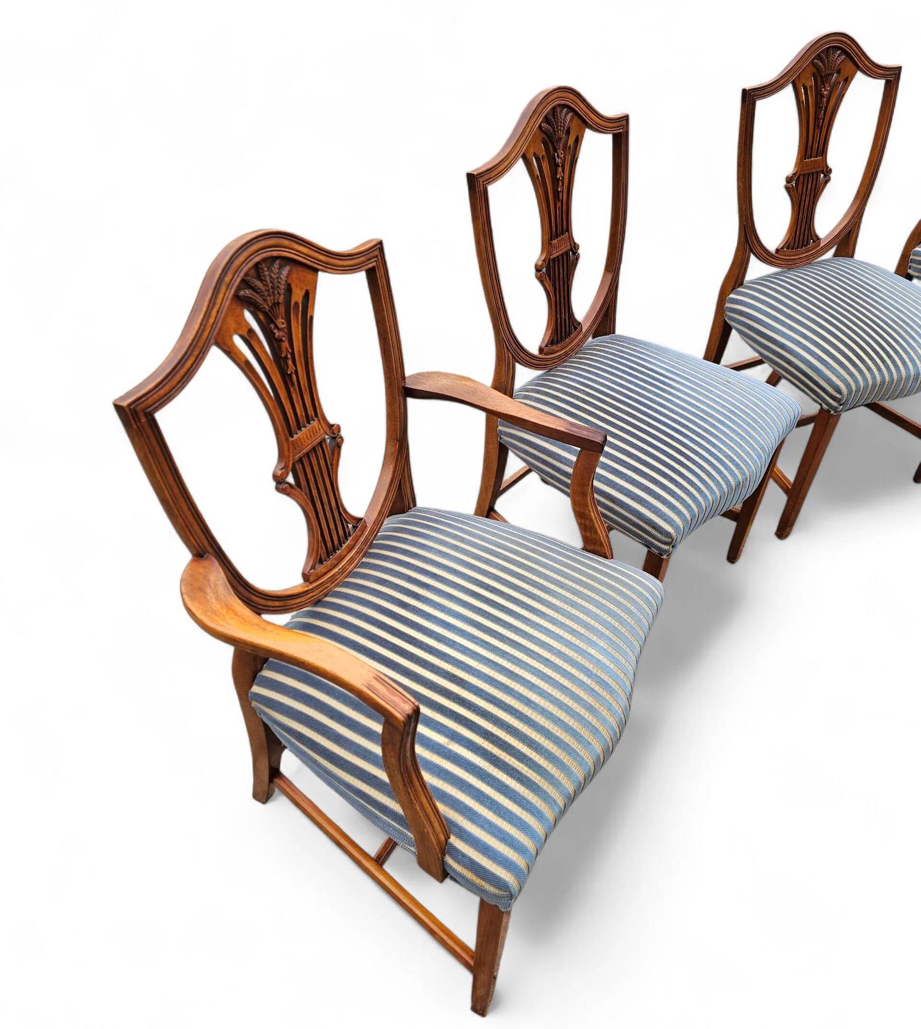 6 x English mahogany Hepplewhite chairs / 1920s