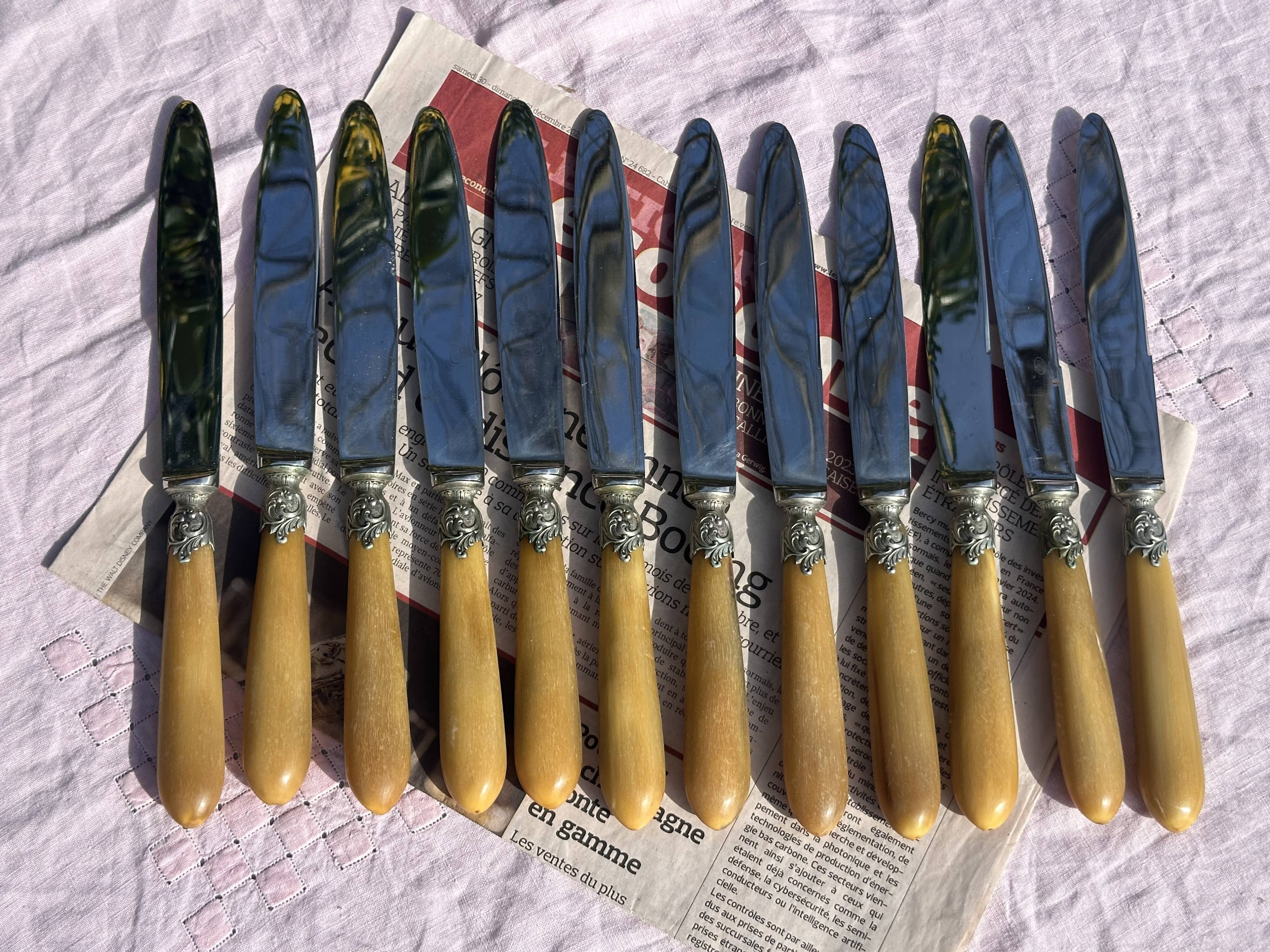 Set of 12 Antique Art Nouveau Table Knives - Tableware