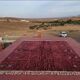 Moroccan Berber rug burgundy 300x200 cm – blue-green geometric patterns