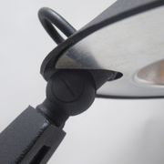 Lampe de bureau Toucan Patrice Bonneau années 80