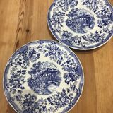 Set of 2 landscape and blue flower plates Promogros