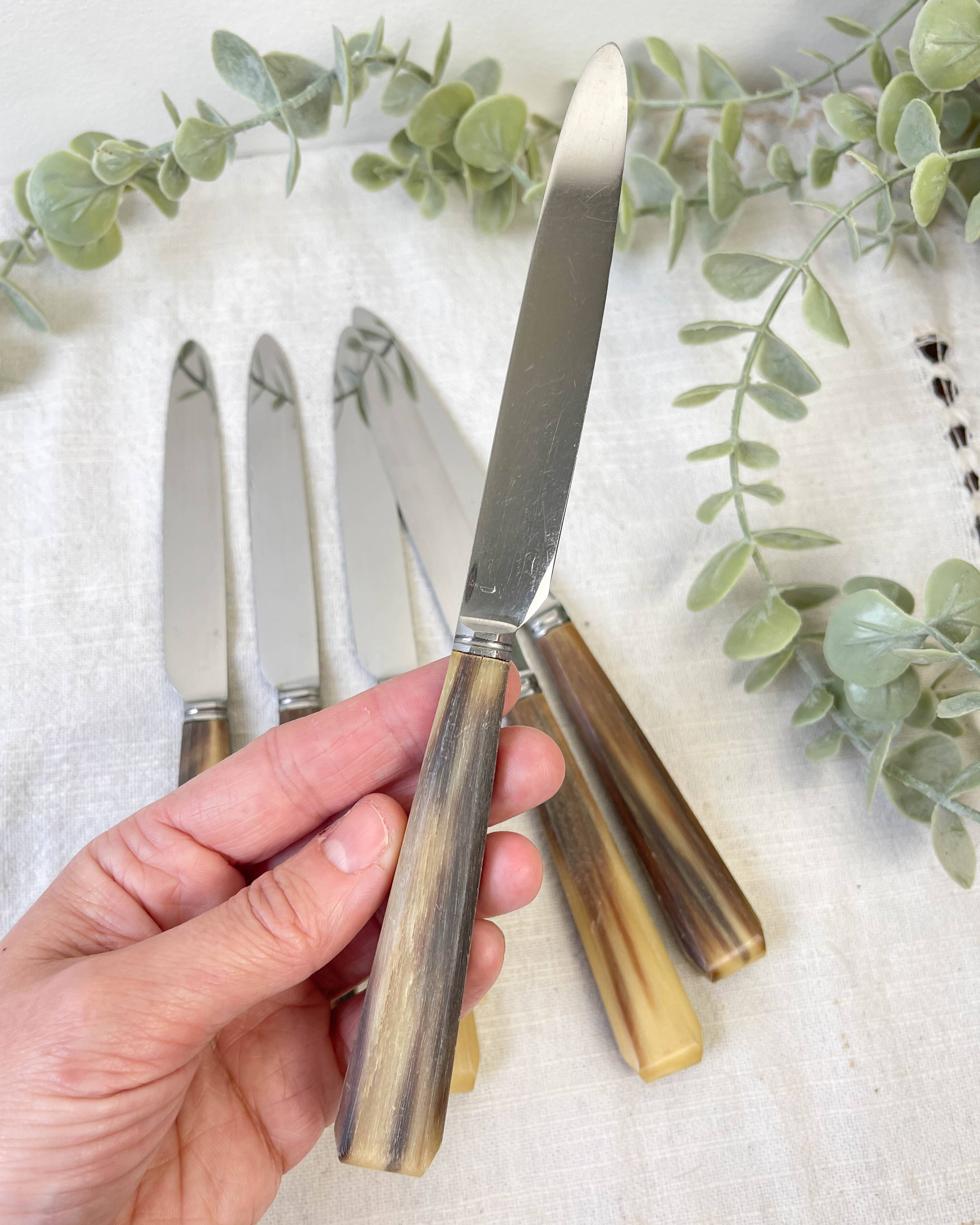 6 Vintage Horn Dessert Knives