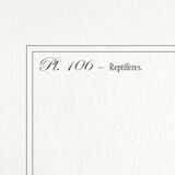 Set of 3 chimera lithograph animal engraving