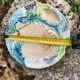 2 barbotine plates
