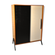 Armoire Frantisek Navrátil pour Tatra Slovakie 1960s